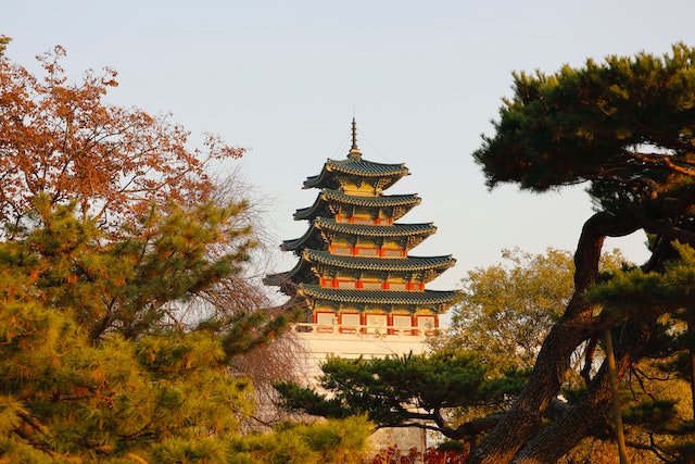 Beautiful Traditional Pagoda in Autumn Market to Thrive! Thrive with marive